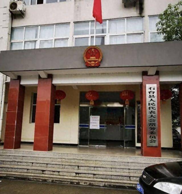 舒城县政府大院开放引发关注，地方治理的新挑战与思考