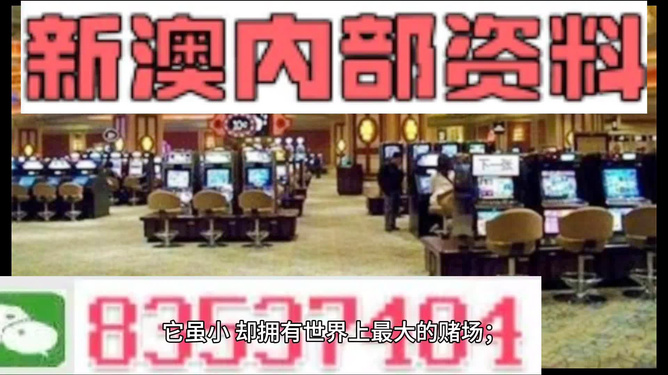 2024新澳精准资料免费提供,澳门内部,实地分析数据方案_高级版35.73