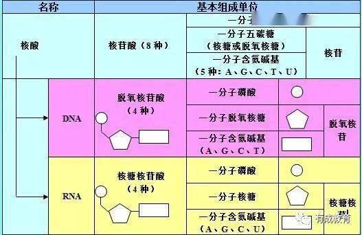 新澳最新最快资料,涵盖广泛的解析方法_Essential35.540