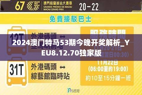 2024新澳门今晚开特马直播,专家说明解析_Gold93.763