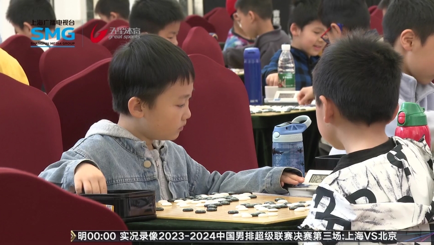 应氏杯最新动态，世界围棋盛事展望与期待 2024年更新