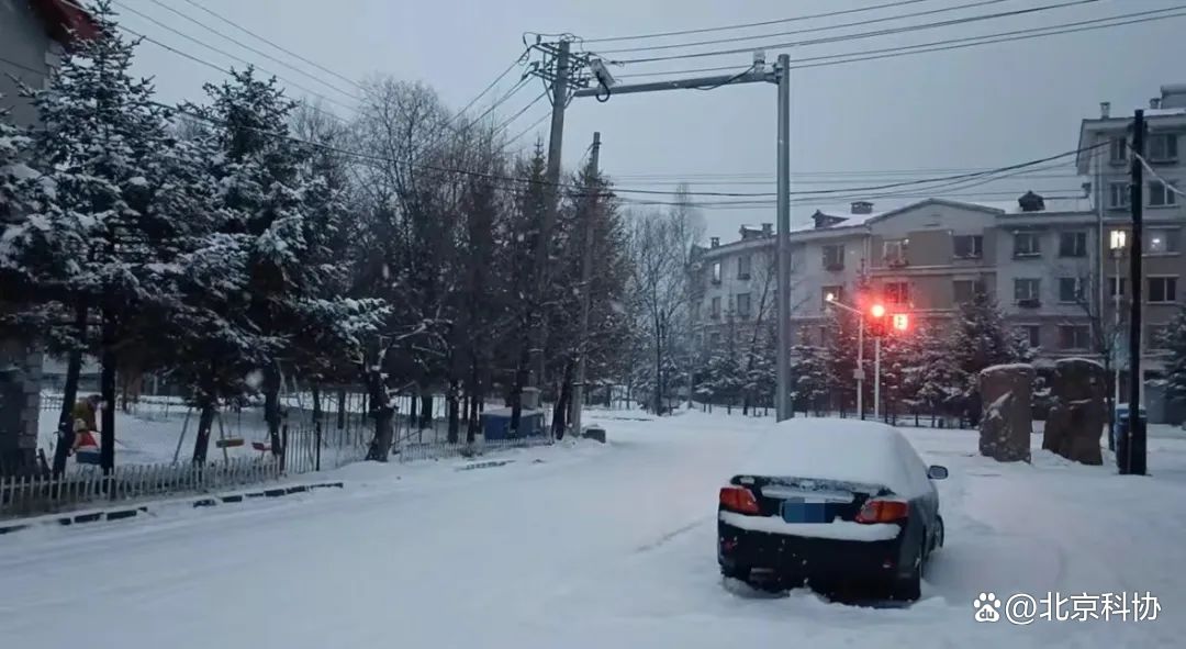 东北罕见紫色降雪天气现象