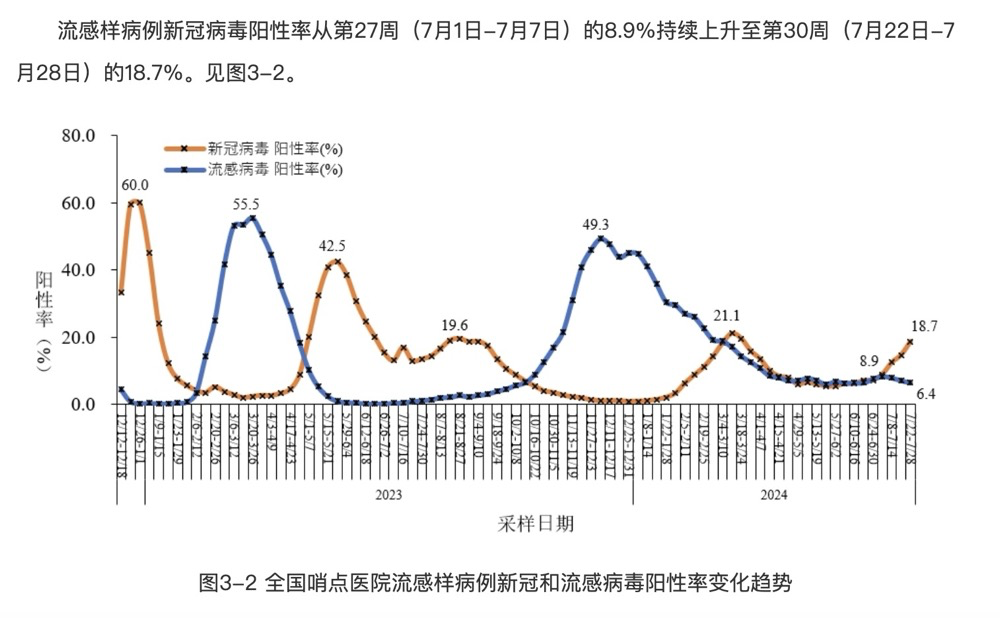 2024年11月份新病毒,多元化方案执行策略_影像版19.261