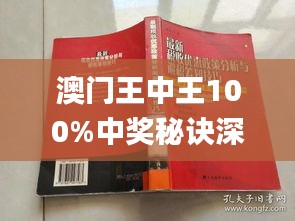 澳门王中王100%正确答案最新章节,实地数据评估执行_9DM67.20