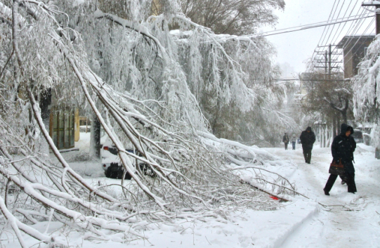 黑龙江鹤岗降雪破纪录