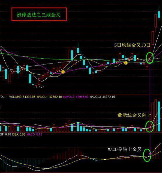 三肖必中三期必出凤凰网2023,绝对经典解释定义_Harmony12.738