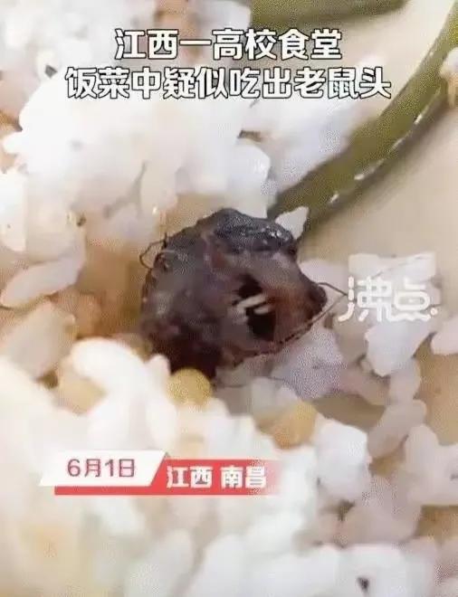 学校食堂异物事件引发反思，改进措施出炉，保障学生饮食安全。