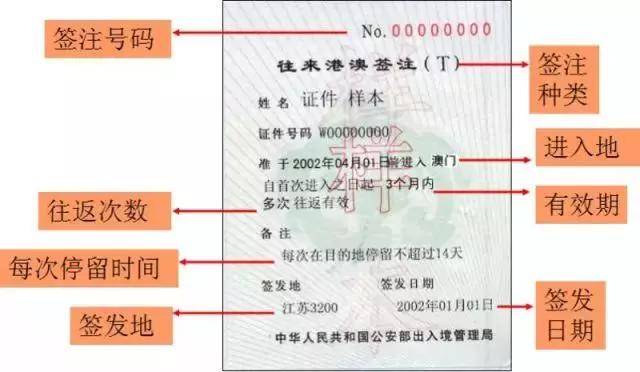 新澳门资料大全正版资料六肖,实践性执行计划_复刻款36.118