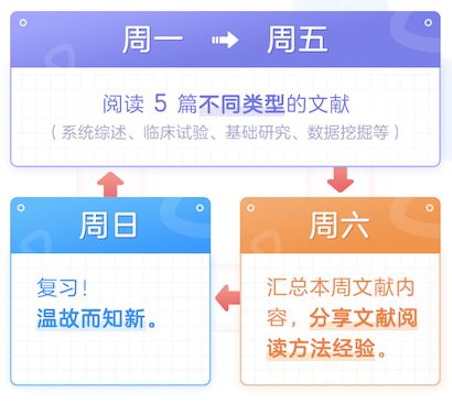 2024年管家婆的马资料61期,绝对经典解释落实_4DM33.683