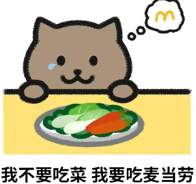 胖猫跳江监控，观察、保护与理解的重要性