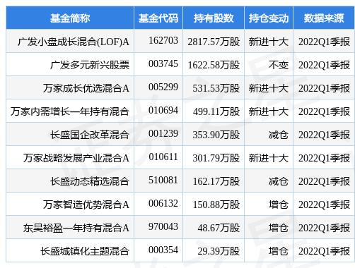 LOF基金深度解析与投资策略探讨