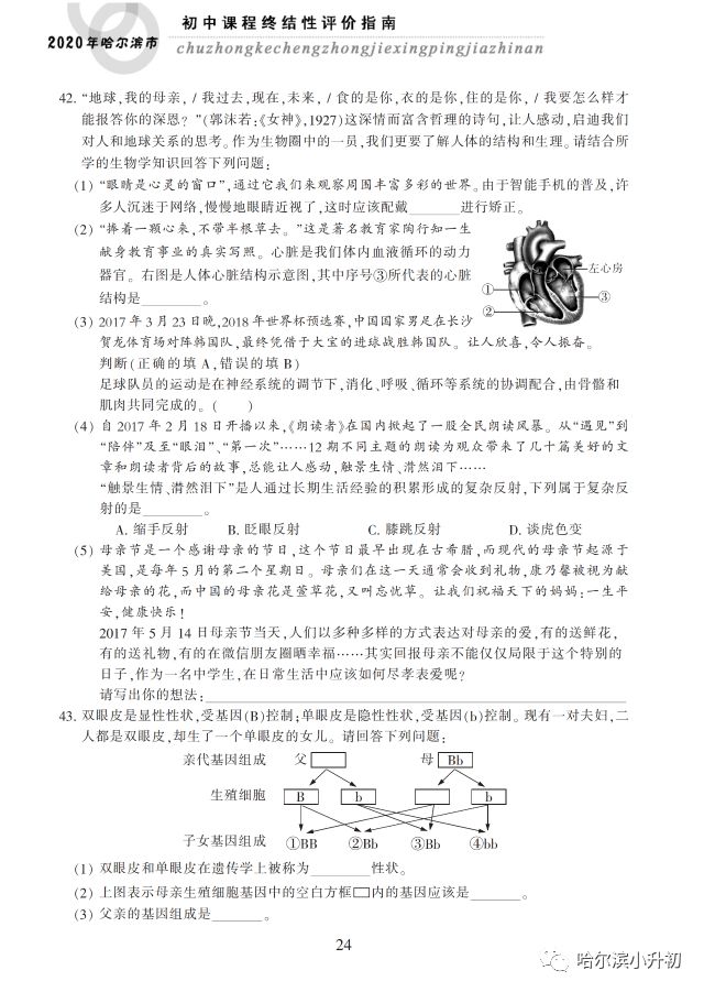 2024年新澳门今晚开奖结果查询表,动态解析说明_模拟版57.741