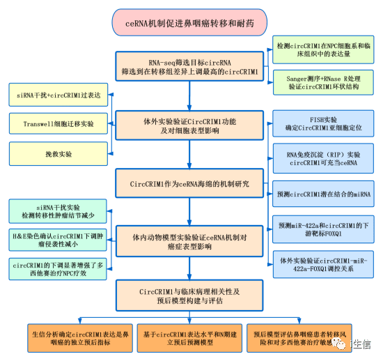 新澳最新内部资料,安全解析策略_3DM41.40