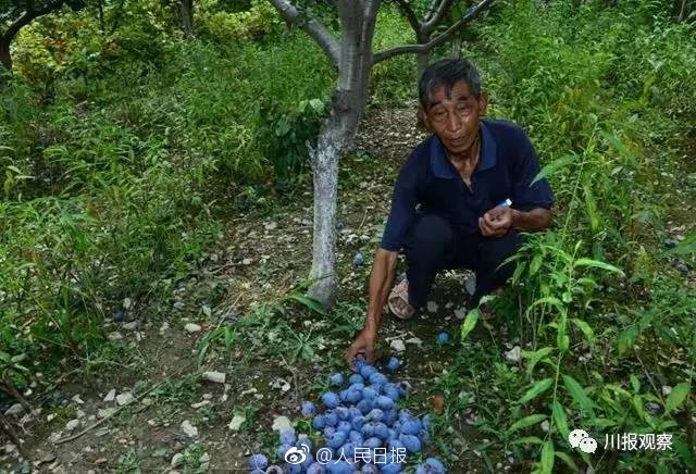 李子柒头戴非遗漆珠发卡亮相九寨沟