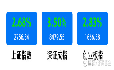 深证成指的深度解析，构成、含义及其重要性