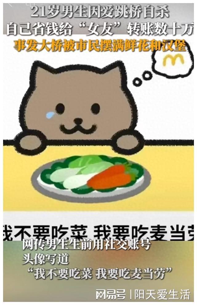 胖猫简笔画与麦当劳的梦幻联动故事