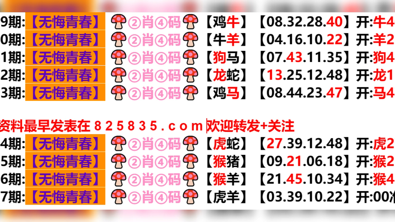 2024年新奥门天天开彩,专业解析说明_完整版64.560