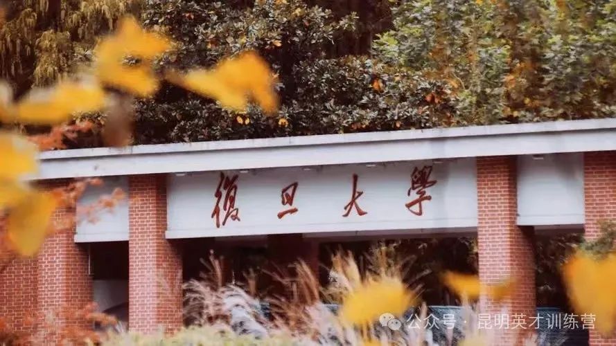 复旦大学招生官网，探索学术殿堂的起点