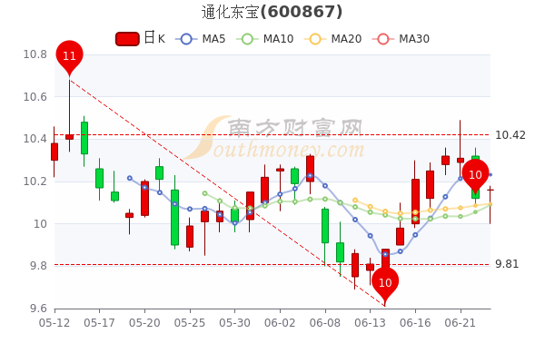 通化东宝股票投资潜力与市场前景深度解析