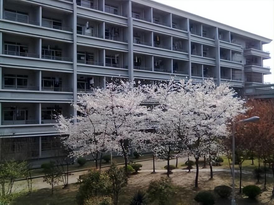 超星期刊数据库，数字化学术研究的宝库探索