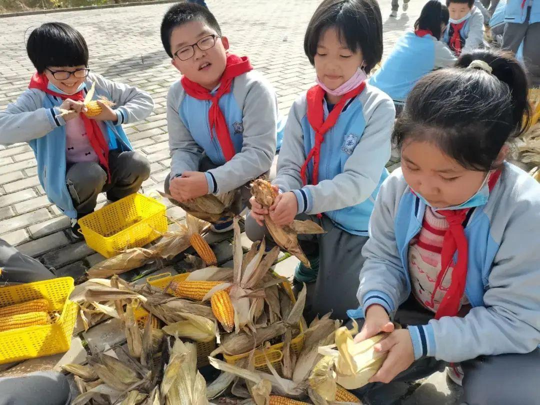 丰收节英语小诗欣赏