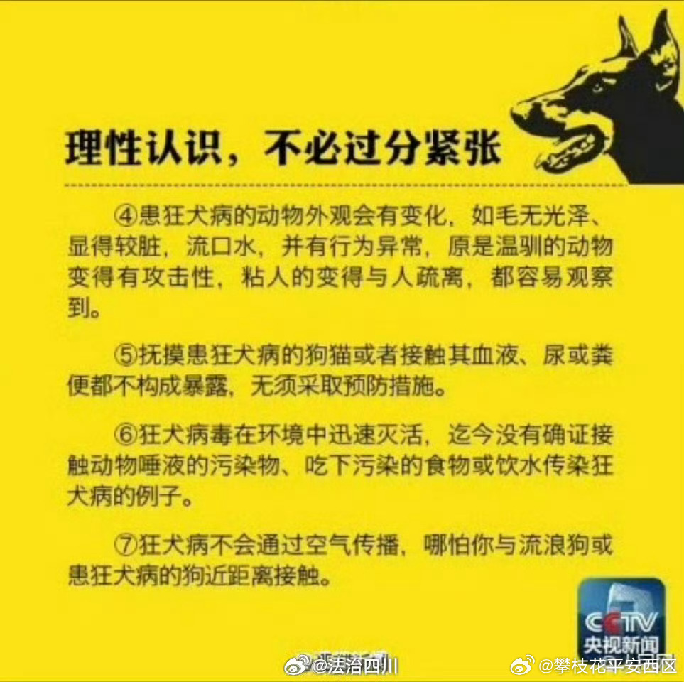 男子被狗咬伤4个月后死亡，犬类安全再次敲响警钟