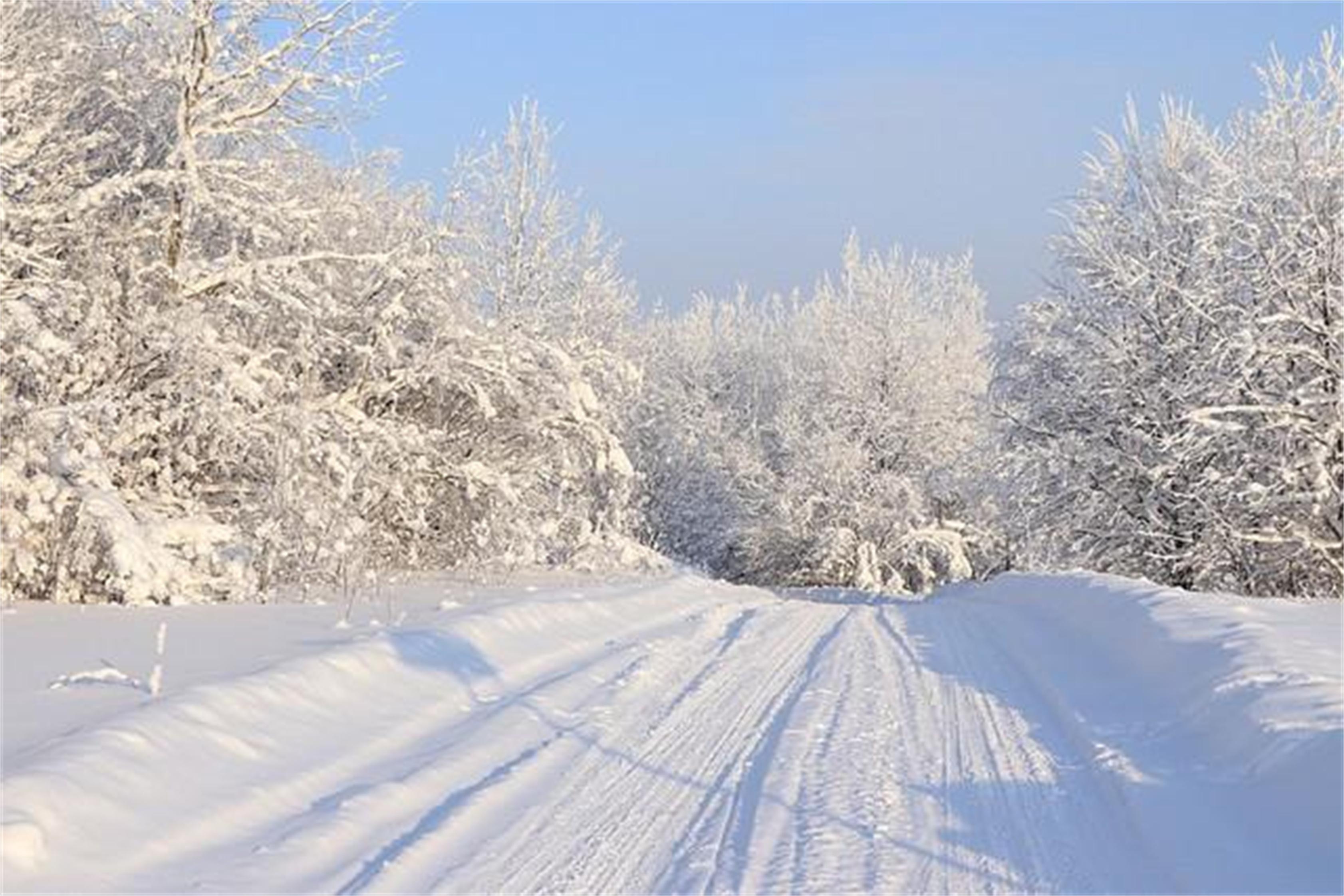 冰忆飘雪 第24页