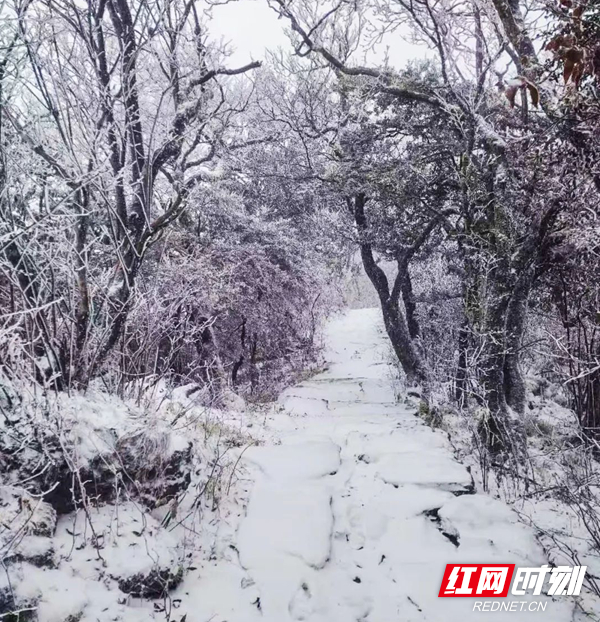 长沙下雪