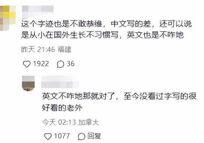 向佐个人简历概览