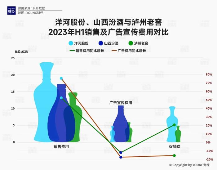 洋河股份股票2024年最高预测分析报告揭秘，展望行业趋势与潜力空间