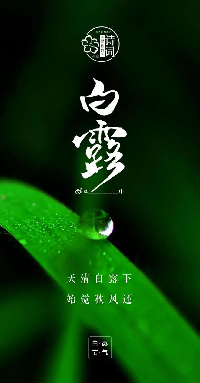 白露时节，秋意韵味与养生之道探索