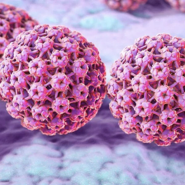 揭秘HPV，认识这个常见病毒