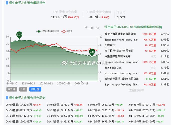 恒生电子股票行情深度解析，聚焦代码600570的动态与前景展望。