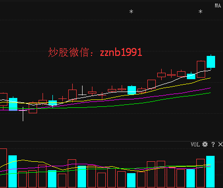 大众交通利好消息驱动股票上涨，行业前景乐观引发市场积极反应