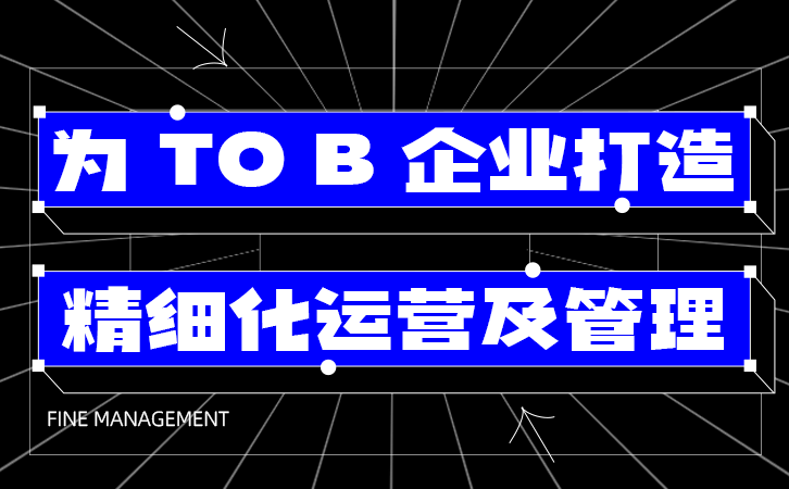 企业微信点镜报价深度解析与策略洞察指南