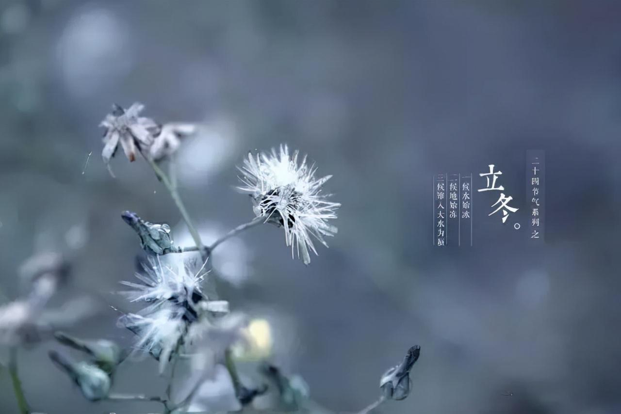 立冬，季节交替的奥妙解读