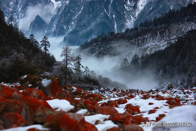 11-12月探寻最佳旅游胜地，旅行指南