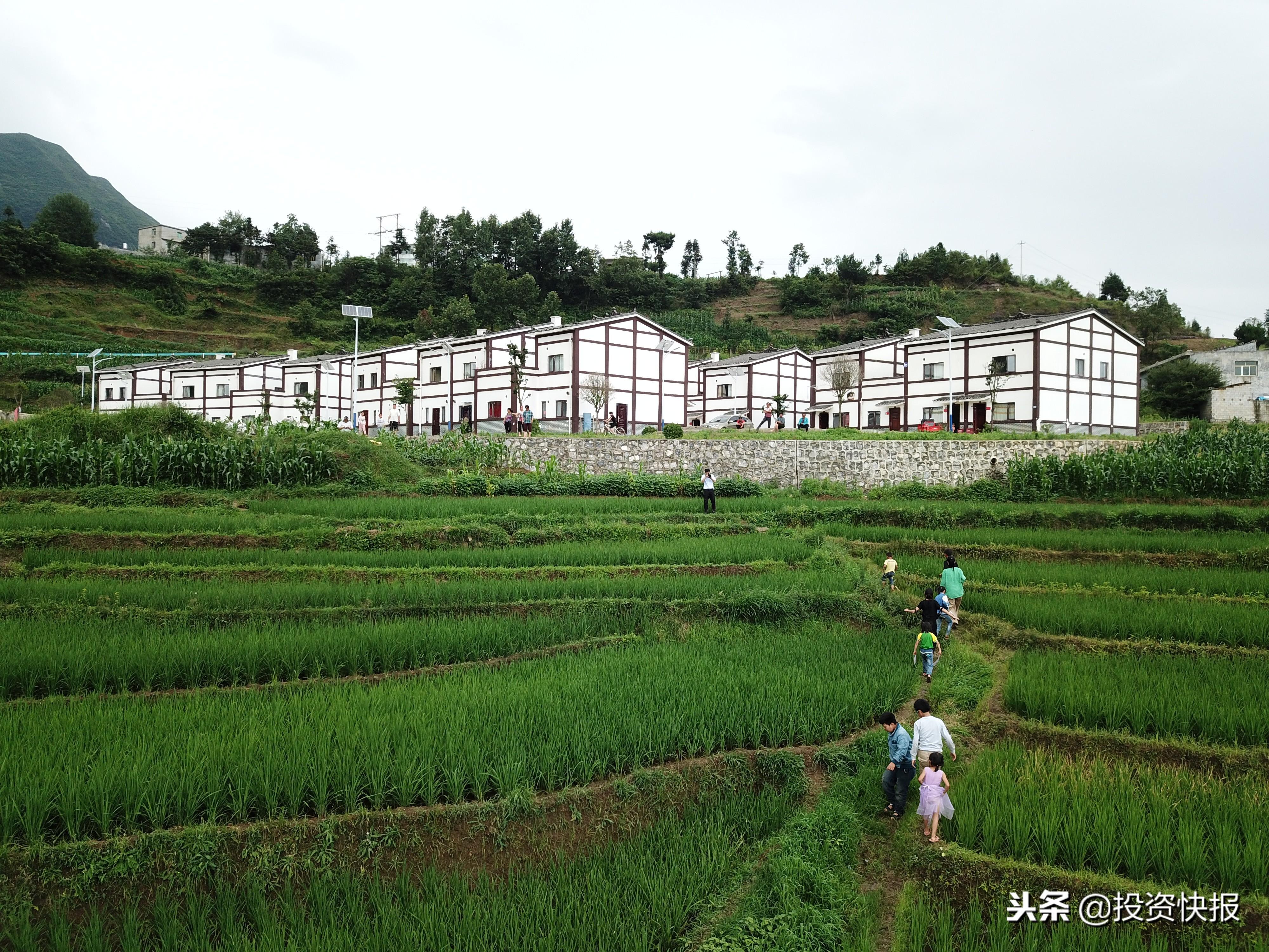 恒大舞蹈十八蹲，深度解析背后的反思与启示