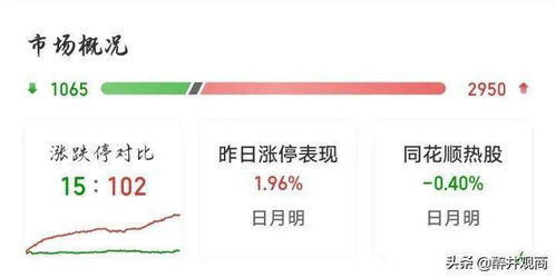 探究688与300开头股票的差异