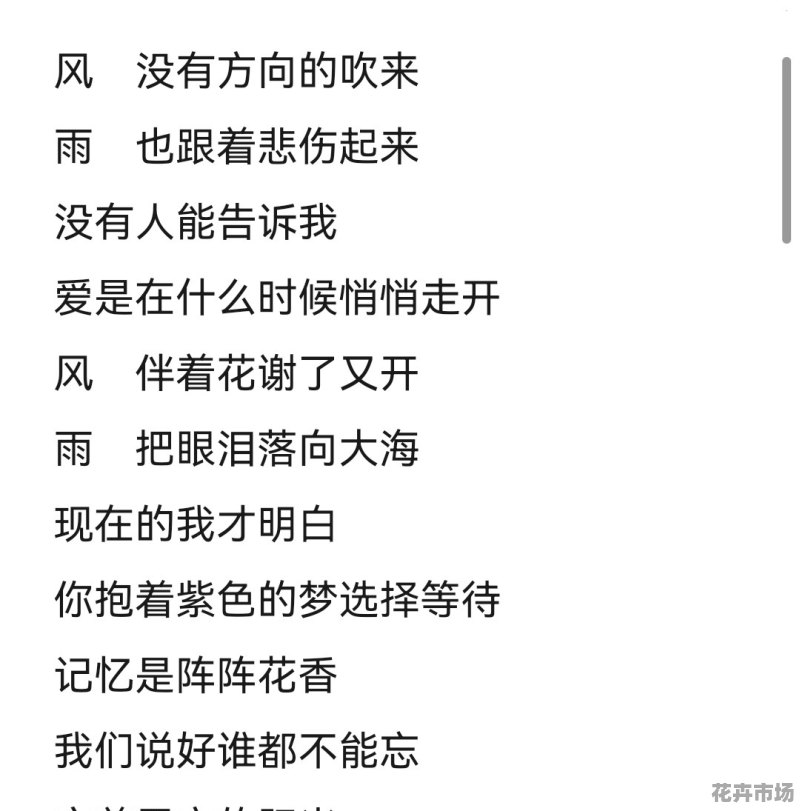 香飘飘歌曲歌词的魅力与情感传递