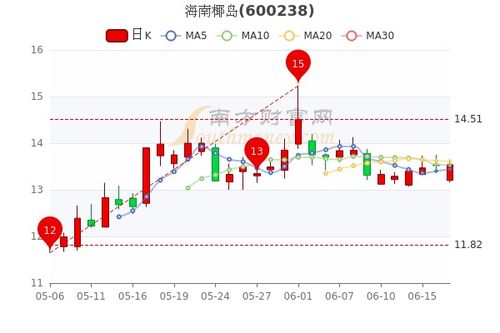 椰树股票，新机遇与挑战并存的投资之路