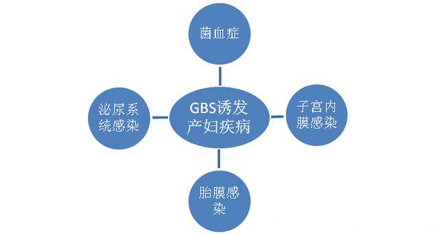 GBS阳性感染，感染途径及防控策略探究