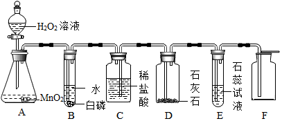 核辐射对人体的破坏原理，揭秘核辐射如何影响人体健康