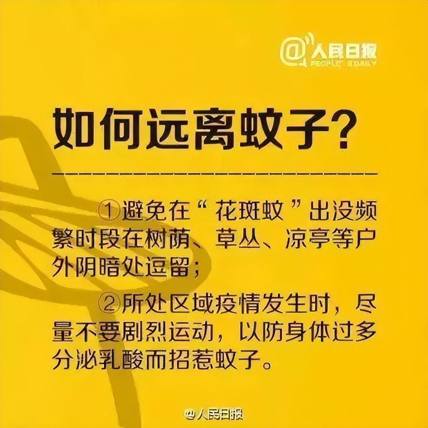 登革热治疗周期与布洛芬作用解析，深入了解与应对策略