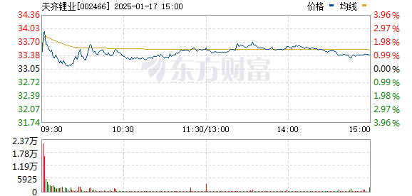 天齐锂业A股，行业翘楚的崛起及未来展望