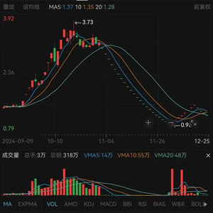 卓朗科技股票，数字转型新领域的探索之旅