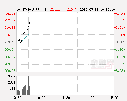 泸州老窖股吧，深度剖析与未来前景展望