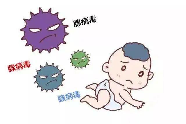 腺病毒感染的症状、影响详解