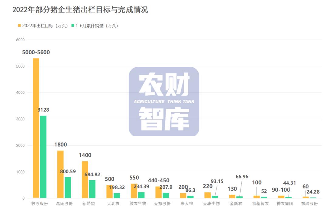 东瑞股份股吧，深度探究企业潜力与价值驱动因素